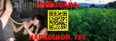 сатива Можга